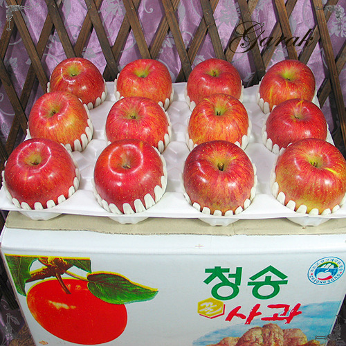 사과(10kg)24~26과