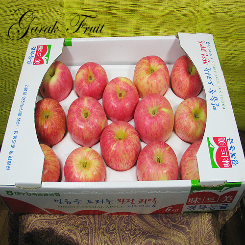 사과(14~16과)
